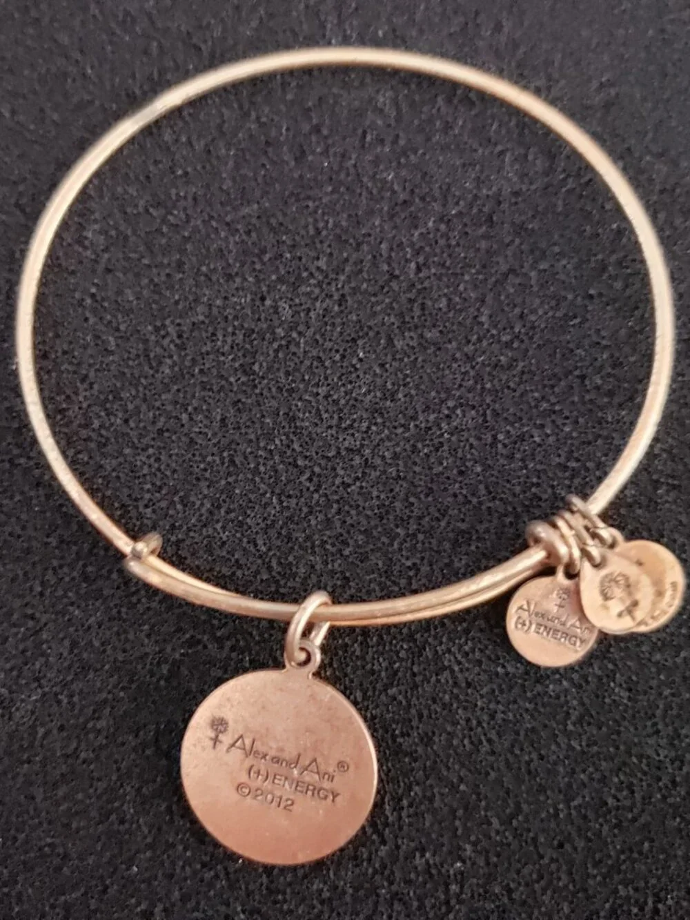 Alex and Ani Gold Thank You Gold Charm Bangle Bracelet 41